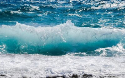 KREVNÍ TLAK – JAKÁ JE DYNAMIKA NAŠEHO ŽIVOTA?