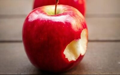 ZUBY JAKO SYMBOL NAŠÍ VITALITY