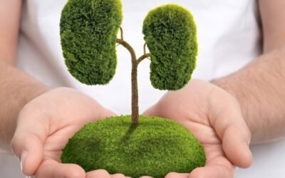 LEDVINY A JEJICH NEMOCI